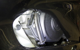 YAMAHA YZF-R15 2006 RG86J