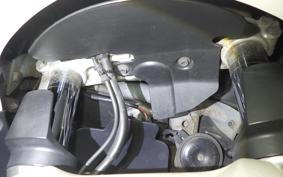 SUZUKI SKYWAVE 650 LX 2009 CP52A