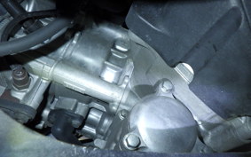 YAMAHA X-MAX 250 A 2024 SG42J