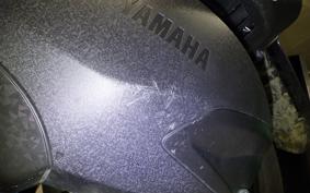 YAMAHA TRICITY 300 2021