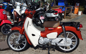 HONDA SUPER CUB110 JA59
