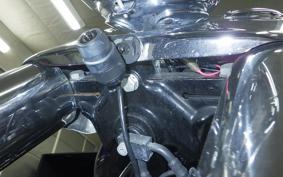 HARLEY FLSTF 1690 2017