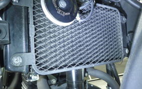 SUZUKI Vｽﾄﾛｰﾑ250 2010