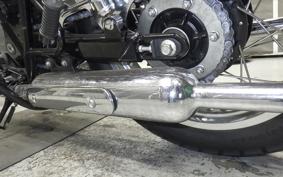 KAWASAKI W800 2016
