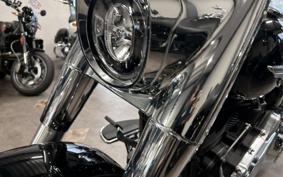 HARLEY FLFBS 2021 YGK