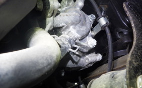 HONDA TACT Basket 2025 AF79