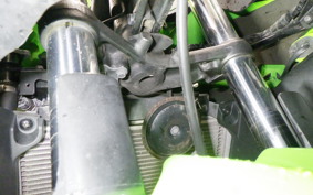 KAWASAKI NINJA 250R 2008 EX250K