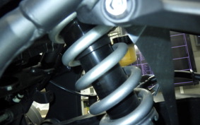 YAMAHA YZF-R25 2025 RG43J