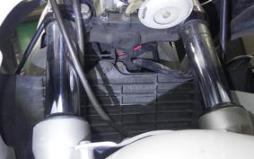 YAMAHA FZR250 R 3LN