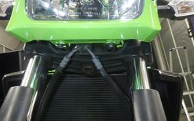 KAWASAKI ZRX1200 D 2017 ZRT20D