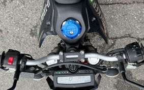 KAWASAKI KLX125D TRACKER X LX250V