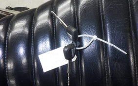 KAWASAKI Z900RS 2019 ZR900C