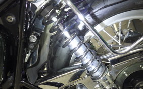 KAWASAKI W800 2019 EJ800B