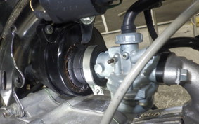 HONDA GORILLA 2009 Z50J