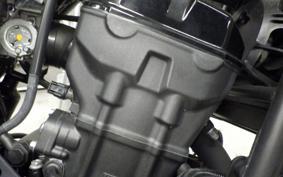 HONDA REBEL 250 1989 MC49