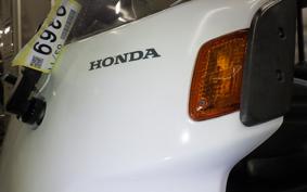 HONDA GYRO CANOPY 2023 TA03
