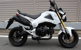 HONDA GROM JC61