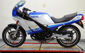 YAMAHA RZ250RR 29L