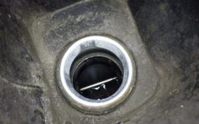 YAMAHA MAXAM 250 2022 SG17J