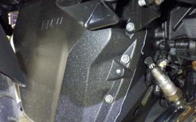 BMW R1300RT ASA 2025