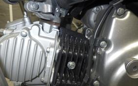 HONDA CT125 HUNTER CUB 2020 JA55