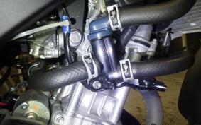 YAMAHA XSR155 2019