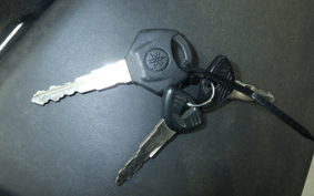 YAMAHA YZF-R25 2015 RG10J