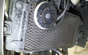 SUZUKI Vｽﾄﾛｰﾑ250A 2001