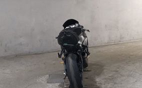 KAWASAKI NINJA ZX-6R 2019 ZX636G