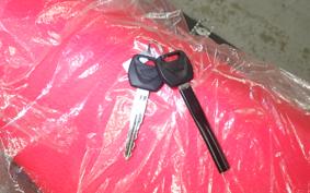 HONDA CRF250L 2019 MD47