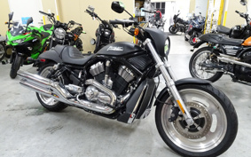 HARLEY HARLEY VRSCD 2006 HDZ