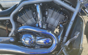 HARLEY  HARLEY VRSCA1130 2002 HAZ