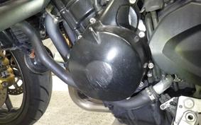 TRIUMPH STREET TRIPLE R 2011
