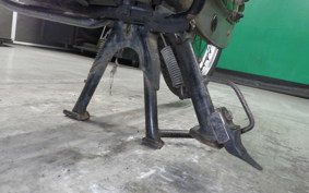 HONDA C50 SUPER CUB 2024 C50