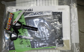 KAWASAKI NINJA 400 2024 EX400L
