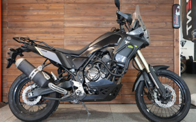 YAMAHA TENERE 700 2020 DM09J