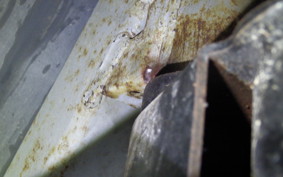 SUZUKI LET's 4 2023 CA45A