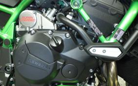 KAWASAKI ZH2 SE 2021 ZRT00K