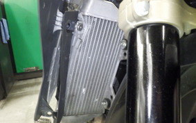 YAMAHA WR250X 2024 DG15J