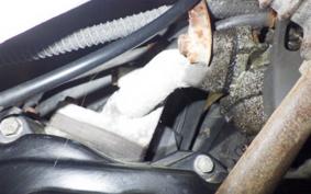 HONDA DIO AF18