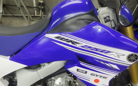 YAMAHA WR250R 2024 DG15J