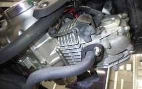 HONDA MONKEY 125 2002 JB02