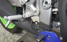 KAWASAKI ZX-4RR 2024 ZX400P