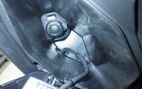 YAMAHA X-MAX 250 2006 SG70J