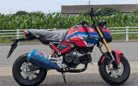 HONDA GROM JC92