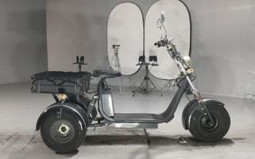 OTHER  BLAZE EV TRIKE  ..