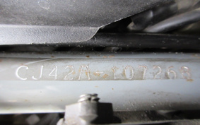 SUZUKI SKYWAVE 250 CJ42A