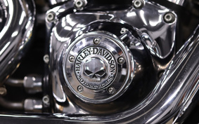 HARLEY FLSTSC 2005 BRY