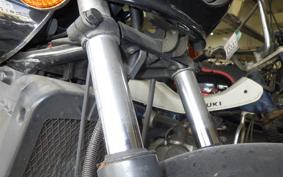 KAWASAKI ELIMINATOR 250 SE 2019 EL250A