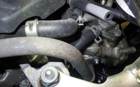 HONDA BENLY 50 AA05